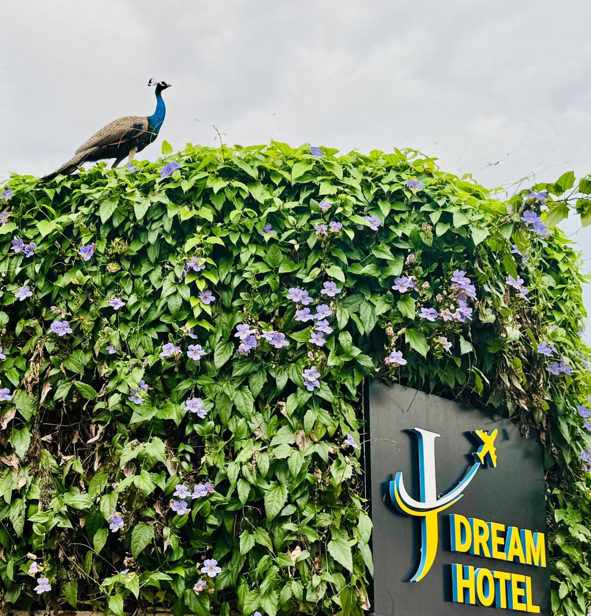 Dewamottawa Airport J Dream Resort מראה חיצוני תמונה